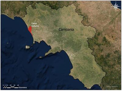 Emerging risk of Dirofilaria spp. infection in shelter dogs in southern Italy